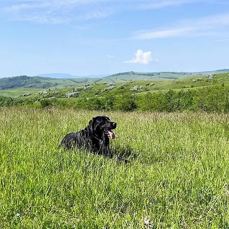 Hébergement de vacances Vendeghaz Sylvatica *